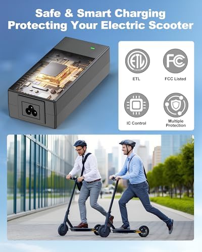 VHBW 5|6V 2A Ebike Battery Charger for Lectric XP |0/|0, Heybike Mars/Mars |0/Race Max/Sola, Evercross H5/H7 Electric B