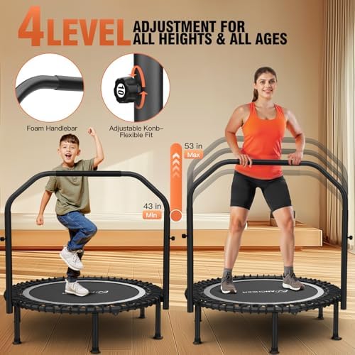 Ancheer Bungee Rebounder Trampoline, Foldable Fitness Trampoline with Resistance Ropes, 450-550LBS Capacity, Safe for Ho