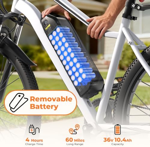 Electric Bike, 1000W/750W/500W Peak Motor, Removable Battery, Shock Absorber, Commuting Electric Bike for Adults, 75/60/