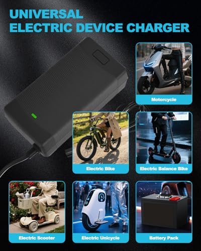 2A Fast Charger for 48V Lithium Battery, Universal Hoverboard Battery Charger with 7 Plugs for Jetson, Gotrax, Razor, Ni