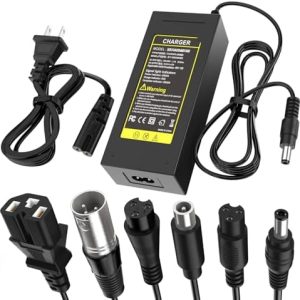 Pinkind 48V Li-ion Battery Charger Replacement for Razor, Jetson, Voyage, Gotrax, Ninebot, Segway, Hiboy and More 5|6V 2