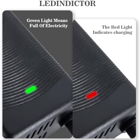 5|6V 2A Fast Electric Bike Charger for 48V Lithium Battery, Compatible with Ebike Lectric XP |0/|0, Ecotric City/Beach,