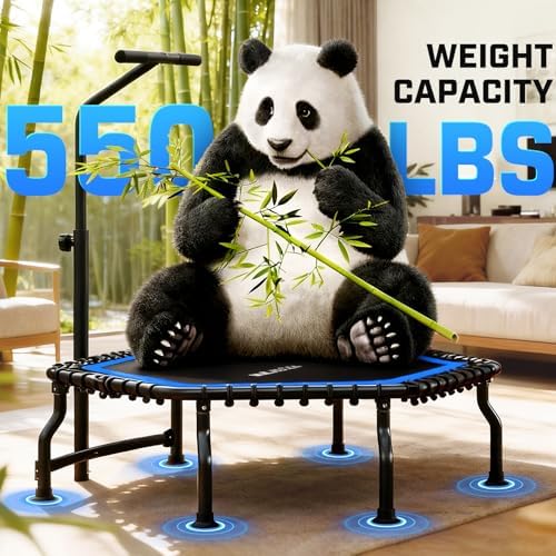 ANCHEER Trampoline for Adult, Indoor Outdoor Mini Trampoline, 550LBS_fitness_trampoline_with_Bungee