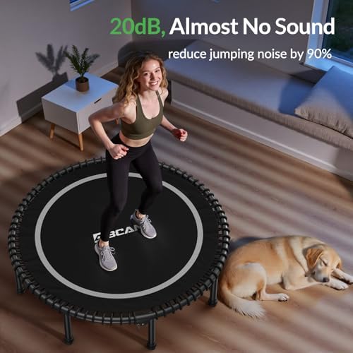 BCAN Durable 450LBS/550LBS Foldable Mini Trampoline for Adult Indoor/Outdoor Workout
