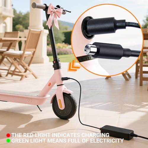 42V 2A Electric Scooter Charger, Replacement Charger for 36V Lithium Battery (XM) - Fast Charging, Lithium Compatible, I