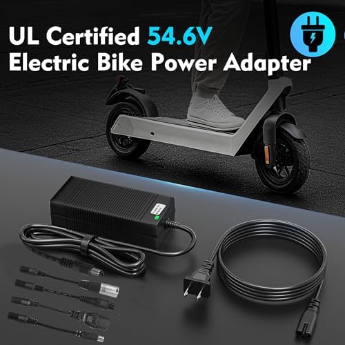 Pinkind 48V Li-ion Battery Charger Replacement 5 in 1 Plugs Fast Charger, Universal for 48V 13S Lithium Batteries, Razor