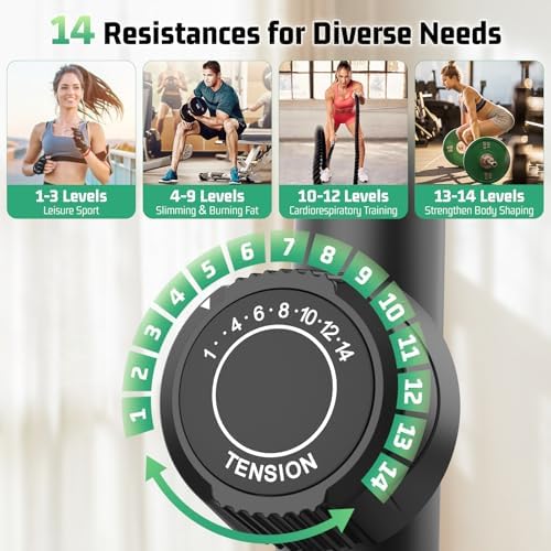 ANCHEER Elliptical Exercise Machine for Home Fitness Lovers with Ultra-Smooth Magnetic Drive | 14 Levels Resistance Ell