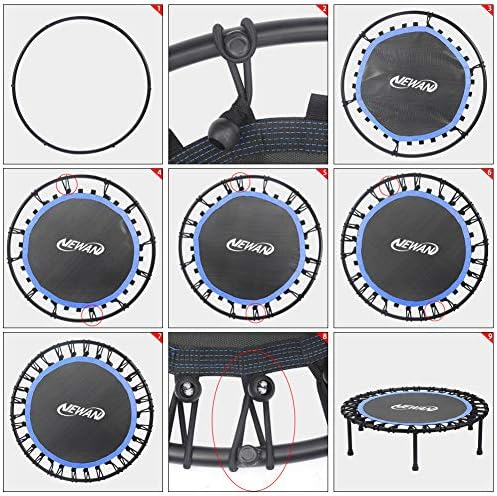 NEWAN Silent Mini Trampoline for Adults - 40" to 48" Diameter, Max Limit 330lbs, Silent Bungee Rebounder Jumping Cardio