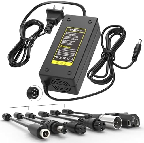 5|6V 2A Fast Charger with Cooling System for 48V Li-ion Battery | Universal 5|6V 2A Fast Charger with Cooling System fo