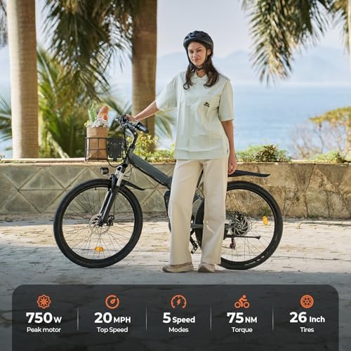 Electric Bike, 1000W/750W/500W Peak Motor, Removable Battery, Shock Absorber, Commuting Electric Bike for Adults, 75/60/