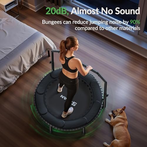 BCAN 40"/48" Mini Rebounder Trampoline for Adults with Bar: Whole-Body Workout & Relaxation at Home, Stable & Quiet, Adj