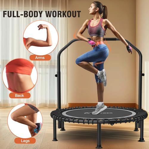 Ancheer Bungee Rebounder Trampoline, Foldable Fitness Trampoline with Resistance Ropes, 450-550LBS Capacity, Safe for Ho