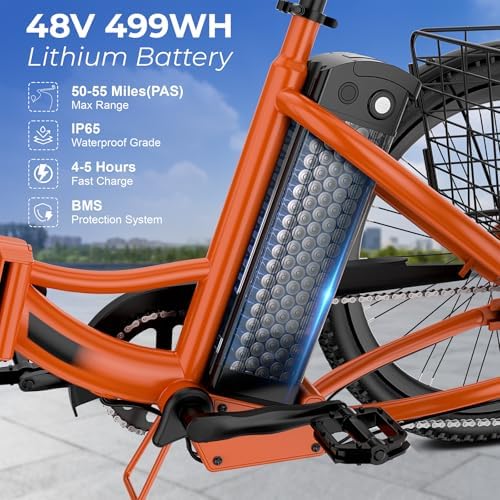 ANCHEER 600W Peak Electric Tricycle for Adults | 24" 499Wh Foldable 3 Wheel Ebike for Seniors | Rear Differential 15.5M