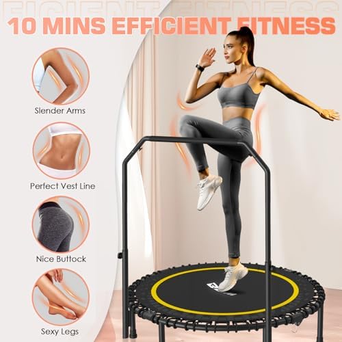 BCAN 40"/48" Mini Rebounder Trampoline for Adults with Bar: Whole-Body Workout & Relaxation at Home, Stable & Quiet, Adj