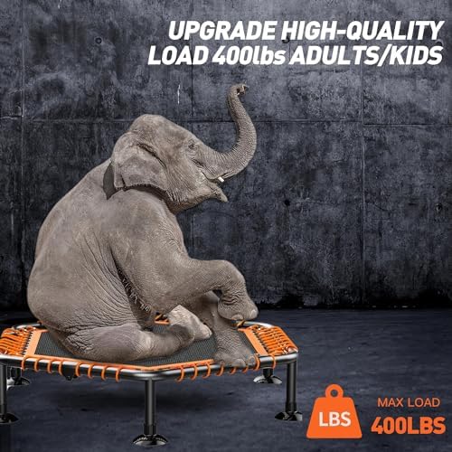 CLORIS 38in/48in Folding Trampoline for Adults with Adjustable Foam Handle - Max Load 450lbs Safety Padded Cover Best Gi