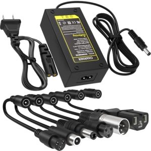 Universal 42V 2A Charger for 36V Lithium Battery 10S Fast Charger, Compatible with Razor, Jetson, and Voyage Universal 4