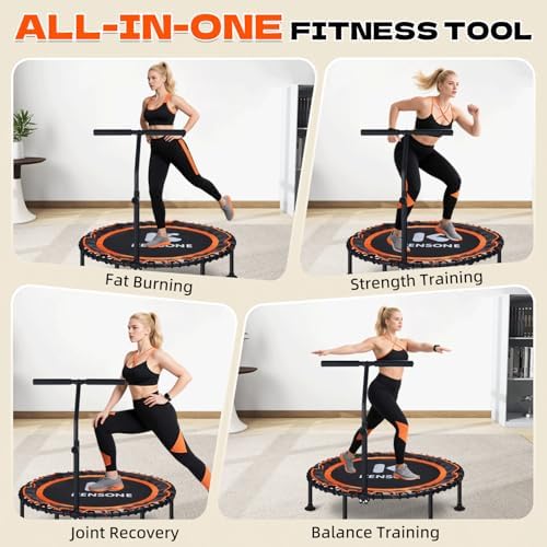 450/550 Lbs Quiet Indoor Mini Trampoline for Adults | Fitness Gym Workout | 40/48" Foldable Rebounder Trampoline with Bu