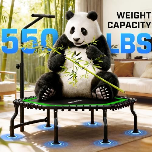 ANCHEER Trampoline for Adult, Indoor Outdoor Mini Trampoline, 550LBS_fitness_trampoline_with_Bungee