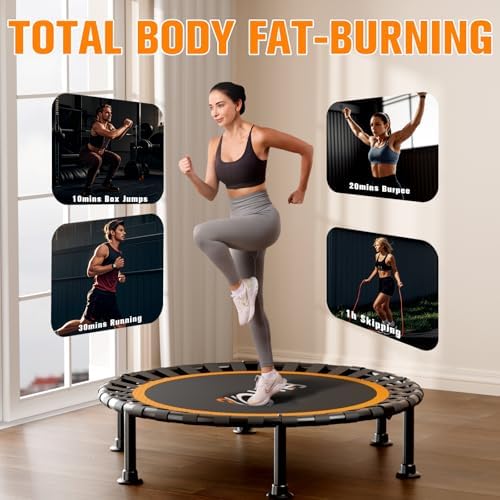 48" Foldable Mini Trampoline for Adults and Kids | Durable Bungee Band | 330lbs Load Capacity | Portable Exercise Reboun