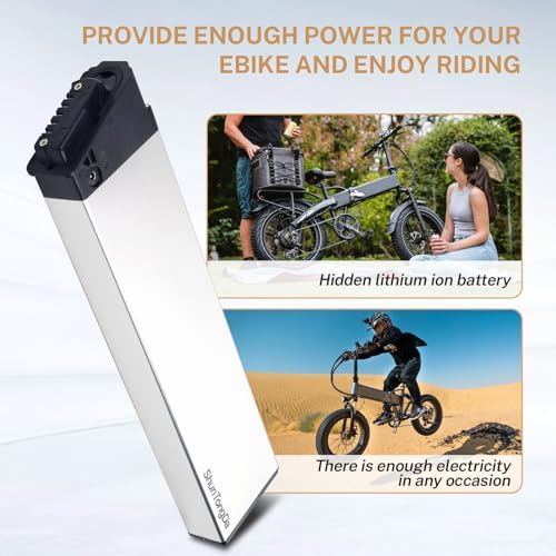48V 10.4Ah Folding Ebike Battery for 250W 500W 750W 1000W Motor (Top Selling A Grade Cell) 48V 14Ah DCH-006 Built in E