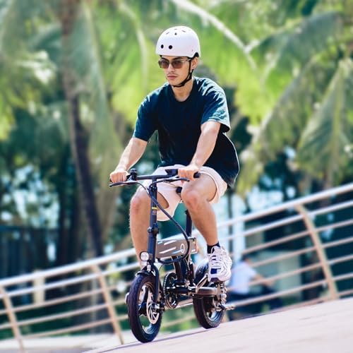 Electric Bike, 1000W/750W/500W Peak Motor, Removable Battery, Shock Absorber, Commuting Electric Bike for Adults, 75/60/