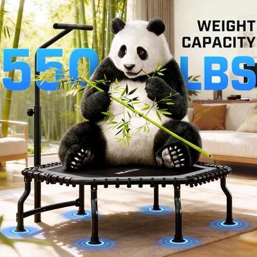 ANCHEER Trampoline for Adult, Indoor Outdoor Mini Trampoline, 550LBS_fitness_trampoline_with_Bungee