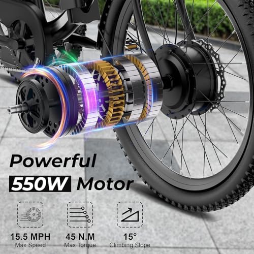 ANCHEER 600W Peak Electric Tricycle for Adults | 24" 499Wh Foldable 3 Wheel Ebike for Seniors | Rear Differential 15.5M