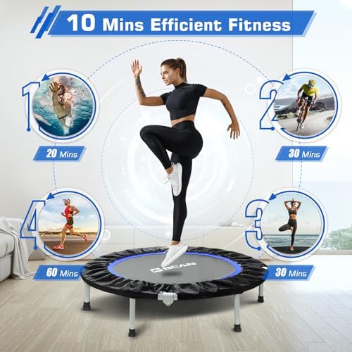 BCAN Mini Trampoline for Adults Indoor Workout with Safety Pad, Rebounder Exercise Trampoline, Max Load 300lbs BCAN Fo