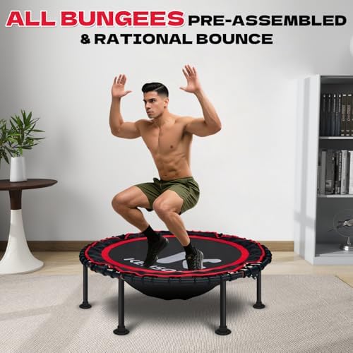 450/550 Lbs Quiet Indoor Mini Trampoline for Adults | Fitness Gym Workout | 40/48" Foldable Rebounder Trampoline with Bu
