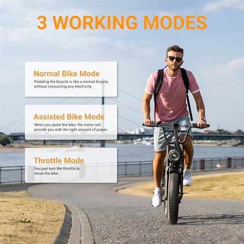 Electric Bike for Adults, 2000W/1500W Peak Motor, All Terrain Ebike Electric Bike for Adults, 20"/16" Fat Tire Ebike,