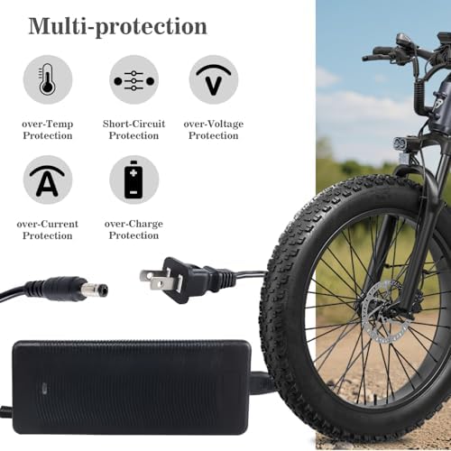 5|6V 2A Fast Electric Bike Charger for 48V Lithium Battery, Compatible with Ebike Lectric XP |0/|0, Ecotric City/Beach,