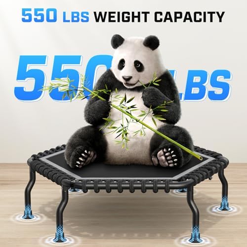 ANCHEER Trampoline for Adult, Indoor Outdoor Mini Trampoline, 550LBS_fitness_trampoline_with_Bungee