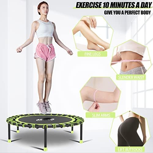 NEWAN Silent Mini Trampoline for Adults - 40" to 48" Diameter, Max Limit 330lbs, Silent Bungee Rebounder Jumping Cardio