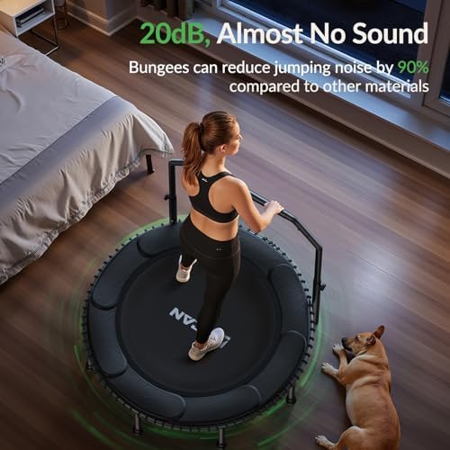 BCAN 40"/48" Mini Rebounder Trampoline for Adults with Bar: Whole-Body Workout & Relaxation at Home, Stable & Quiet, Adj