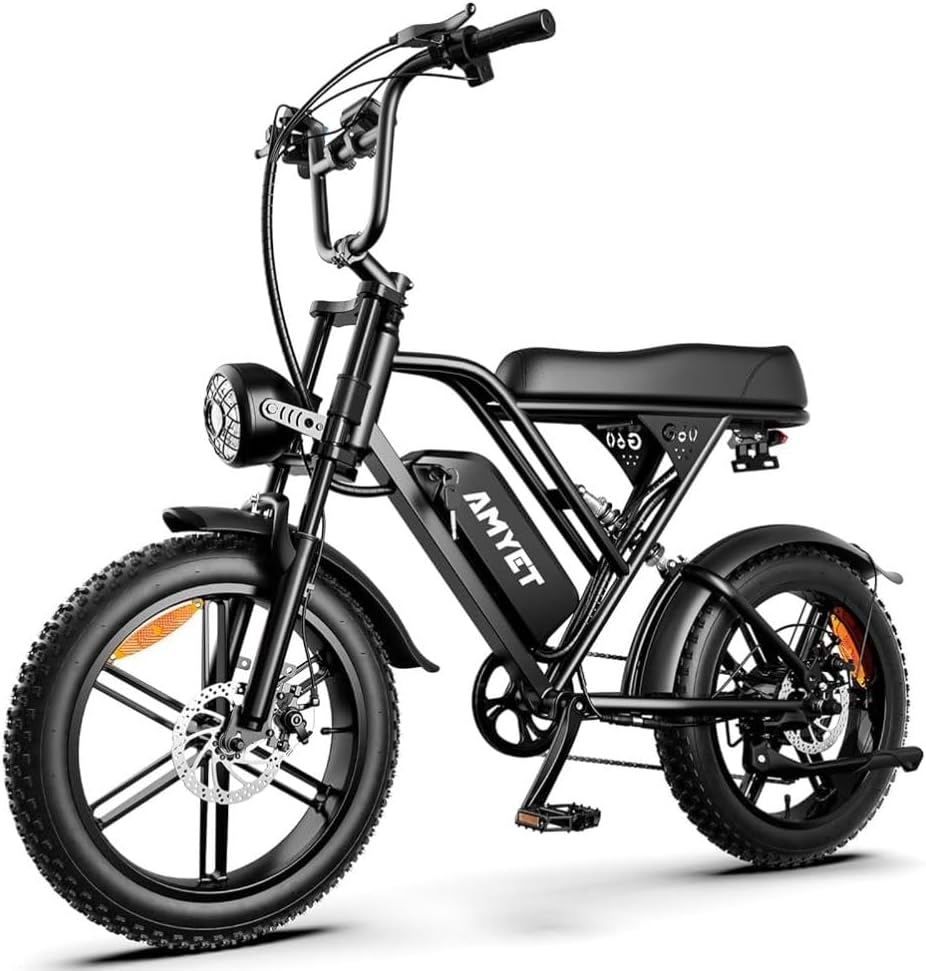 AMYET EB26 V9-G60 G60 S8 Caroma E66 Pro P1 P2 P3 5|6V 48V 7.8Ah-15Ah Li-ion Battery Charger - Class 2 Power Supply Cord